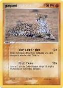guepard