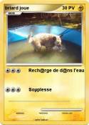 briard joue