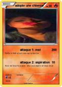 adopte une chie