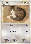 Kitten