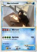 Macrocheuse