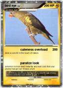 bird eye