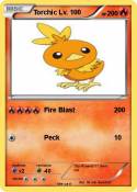 Torchic Lv.