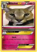 Hecker