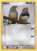 zeberki