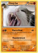 Crazy Cat