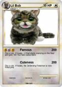 Lil Bub