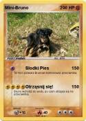 Mini-Bruno