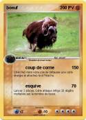 boeuf