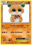 Canes a hamster