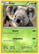 Koala