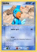 mudkip