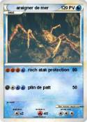 araigner de