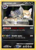 chatonmax
