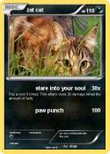 zat cat