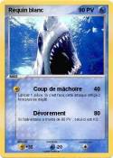 Requin blanc
