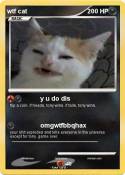 wtf cat