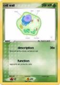 cell wall