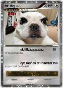 mr dog