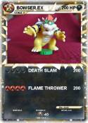 BOWSER.EX