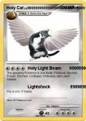 Holy Cat