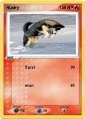 Husky