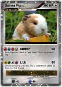 Guinea Pig