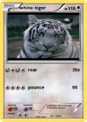 white tiger