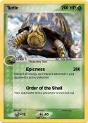 Turtle