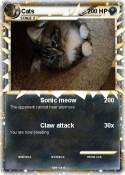 Cats