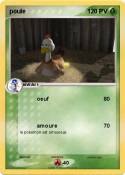 poule