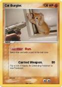 Cat Burgler.