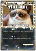 Grumpy Cat