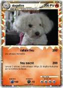dogsfire