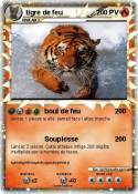 tigre de feu