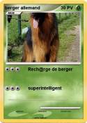 berger allemand