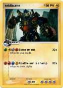 sebllaume