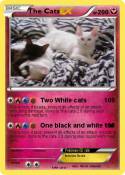 The Cats