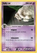 fluffy cat
