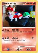 fire mario dog