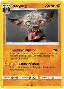 crazydog