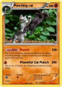 Punching cat