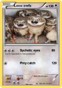Loco owls