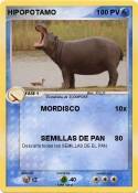 HIPOPOTAMO