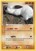 bunny