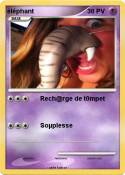 éléphant