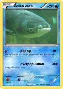 Asian carp