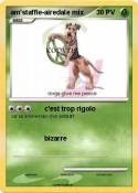 am'staffie-aire