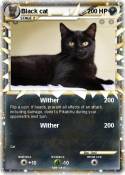 Black cat
