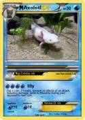 Axolotl